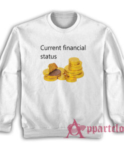 Current Financial Status Gold Coin Chocolate Sweatshirt