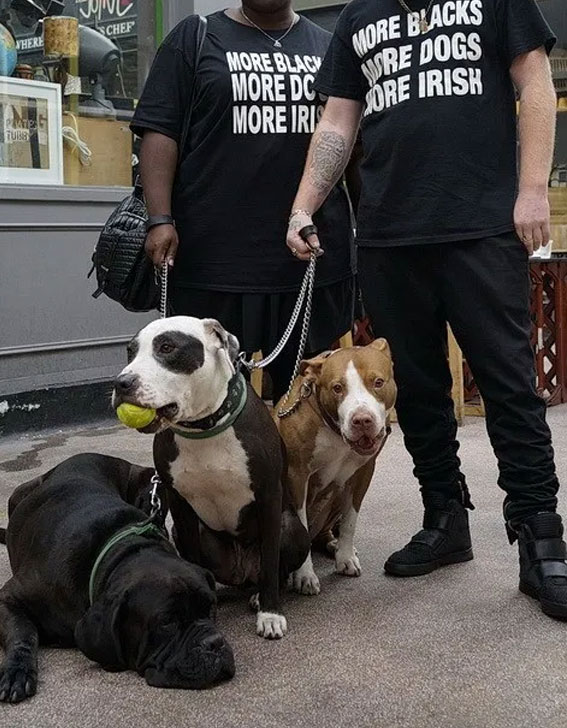 More Blacks More Dogs More Irish T-Shirt for Women's or Men's