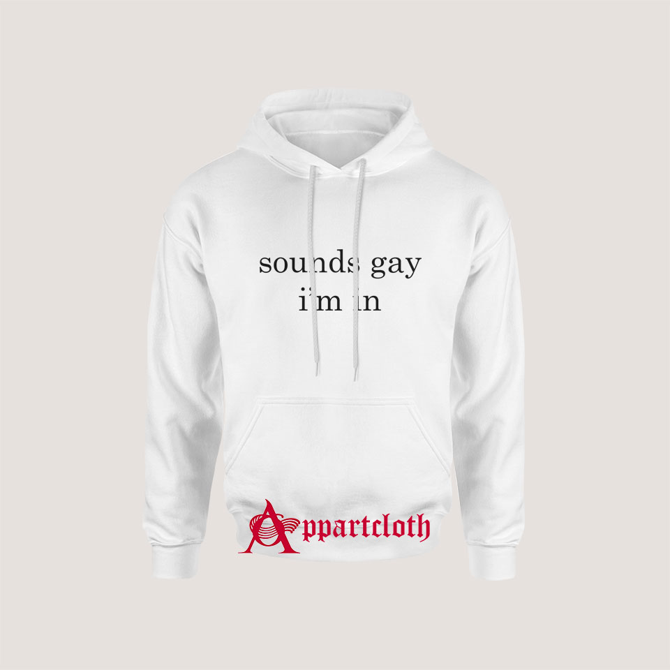 Sounds Gay I’m In Hoodie