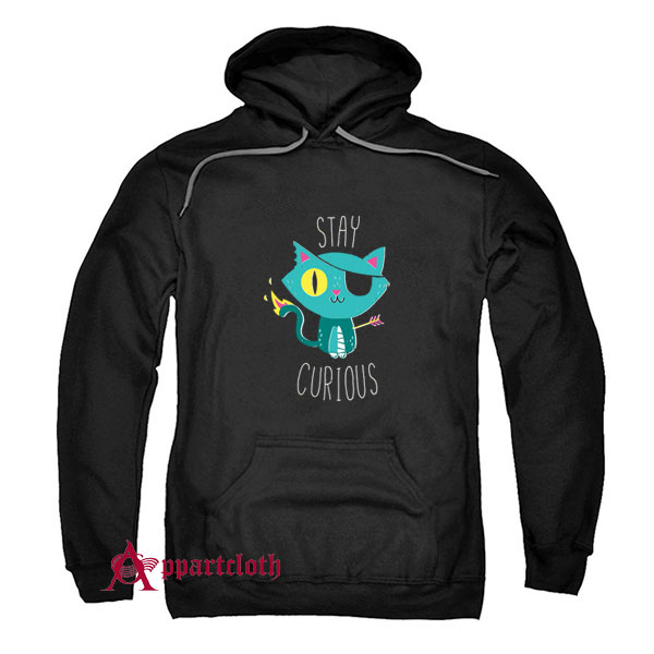 Stay Curious Hoodie