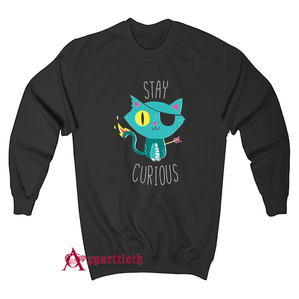 Stay Curious Sweatshirt
