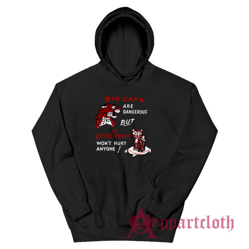 Big Cats Are Dangerous But A Little Pussy Won't Hurt Anyone Hoodie