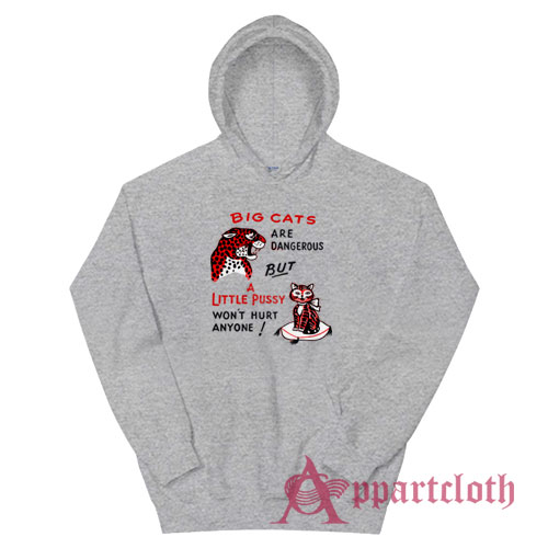 Big Cats Are Dangerous But A Little Pussy Won't Hurt Anyone Hoodie