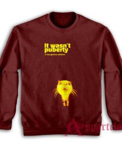 It Wasn't Puberty It Was Gamma Radiation Sweatshirt