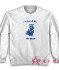 Raccoon I Could Be Meaner Sweatshirt
