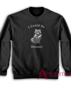 Raccoon I Could Be Meaner Sweatshirt