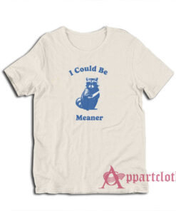 Raccoon I Could Be Meaner T-Shirt