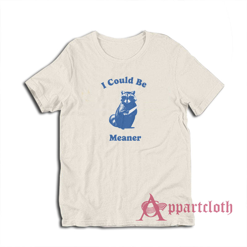 Raccoon I Could Be Meaner T-Shirt
