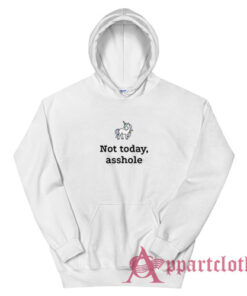 Unicorn Not Today Asshole Hoodie