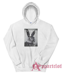 Rabbit Who The Fuck Is Alice Hoodie