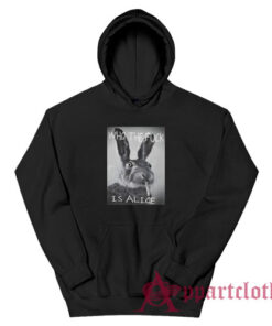 Rabbit Who The Fuck Is Alice Hoodie