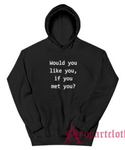 Would You Like You If You Met You Hoodie