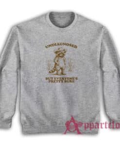 Raccoon Undiagnosed But Everyone's Pretty Sure Sweatshirt