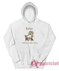 Raccoon Relax Nothing is Under Control Hoodie