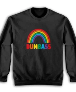 Dumbass Rainbow Sweatshirt