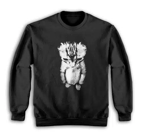 Sad Kitten Standing Cat Meme Sweatshirt
