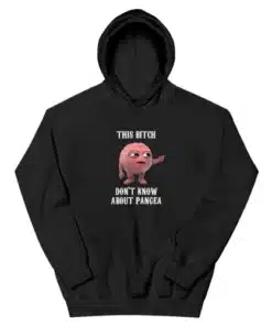 This Bitch Don't Know About Pangea Hoodie